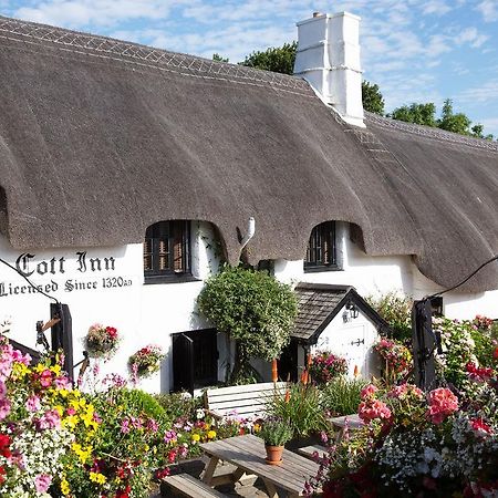 The Cott Inn Totnes Ngoại thất bức ảnh
