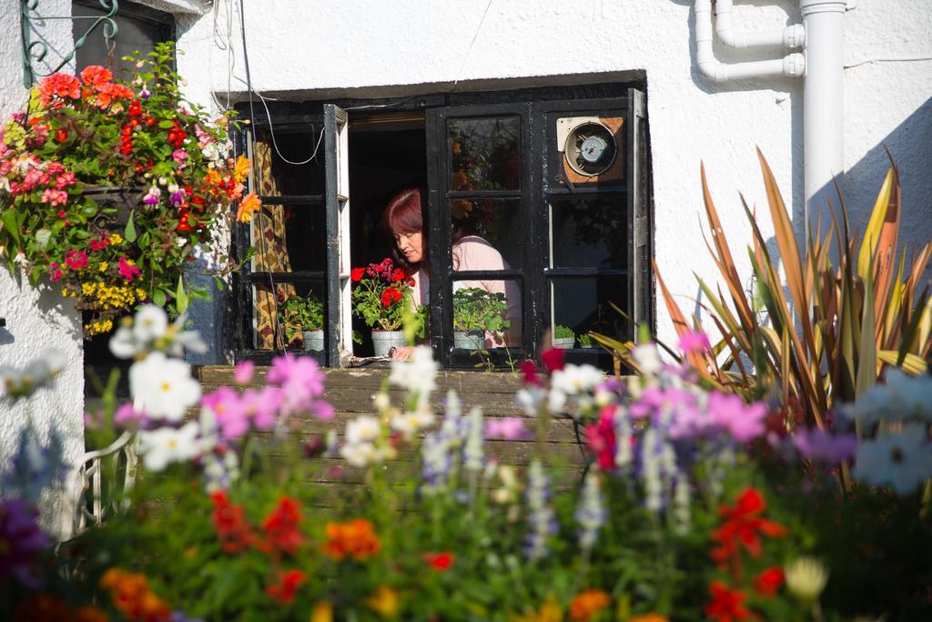 The Cott Inn Totnes Ngoại thất bức ảnh